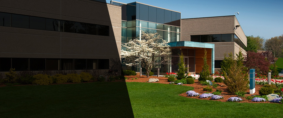 Beltsville Landscapers