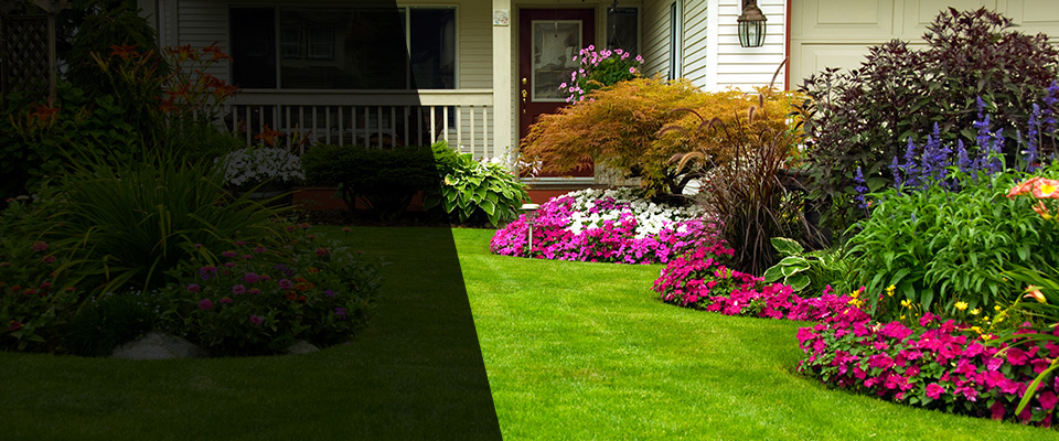 Beltsville Landscapers