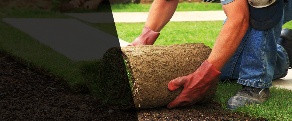 Beltsville Landscapers